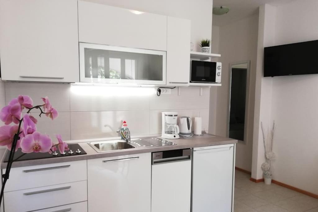 Regina Apartment Bol